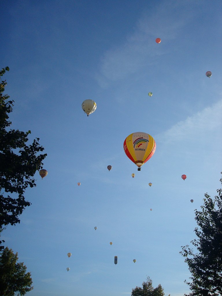 11.Internationales Ballonfestival in Rust/Baden mit ber 30 Teinehmern, 
Sept. 2010