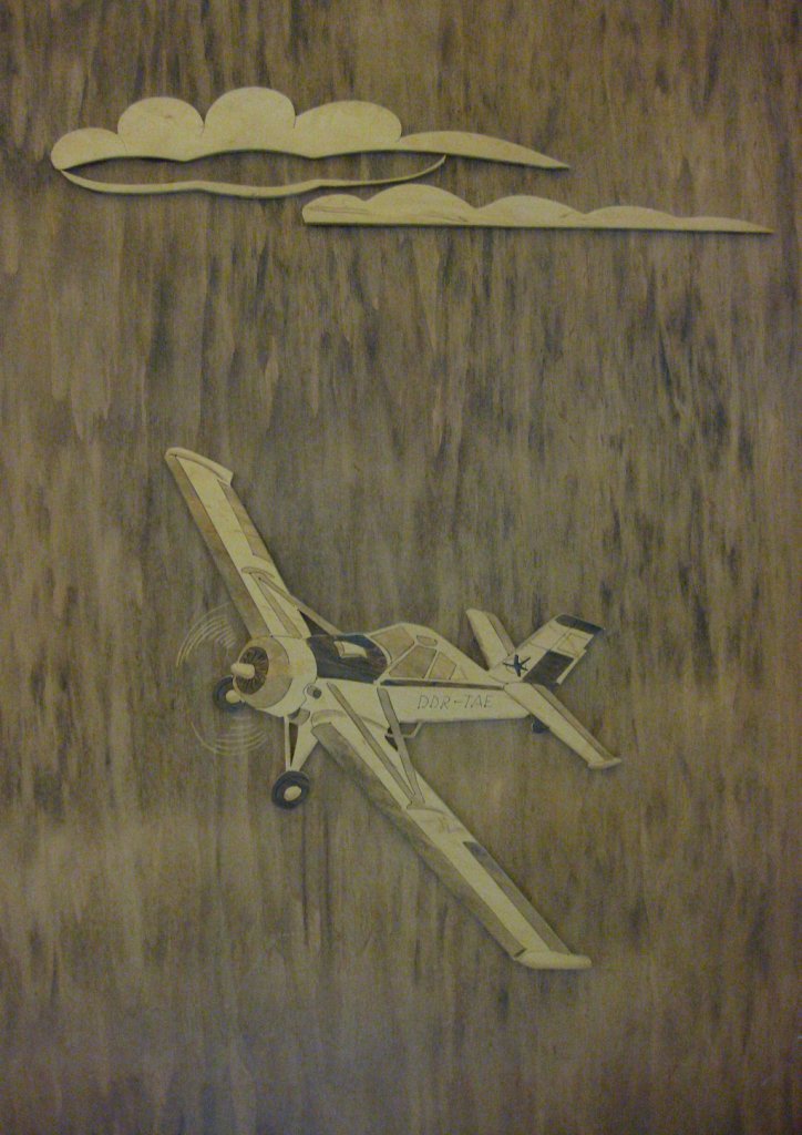 Ein in Holz geschnitztes Flugzeug (Typ unbekannt) (17.08.10)