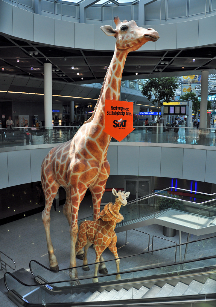 Giraffen in Originalgre als Werbung fr Leihwagenfirma im Terminal am Flughafen Dsseldorf - 24.07.2012
