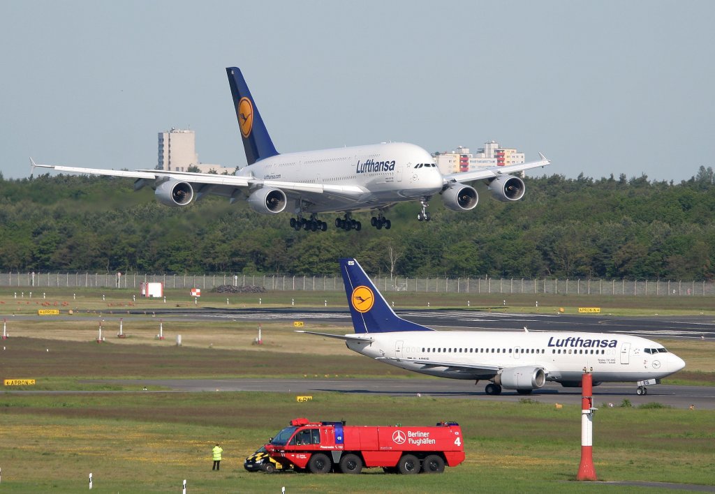 Lufthansa A 380-841 D-AIMA Frankfurt a. Main  kurz vor der Landung am 03.06.2010 in Berlin-Tegel. Lufthansa B 737-330 D-ABES  Kthen/Anhalt  im Grenvergleich dazu.