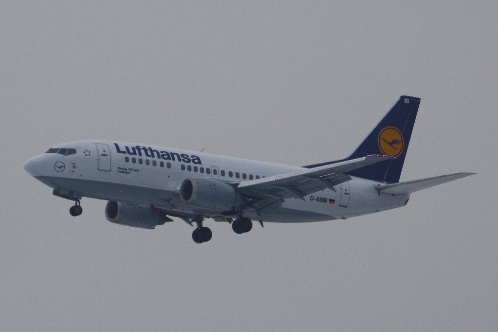 Lufthansa 
Boeing 737-530 
D-ABIB 
Frankfurt 
04.01.11