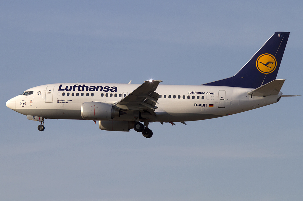 Lufthansa, D-ABIT, Boeing, B737-530, 09.02.2011, FRA, Frankfurt, Germany 



