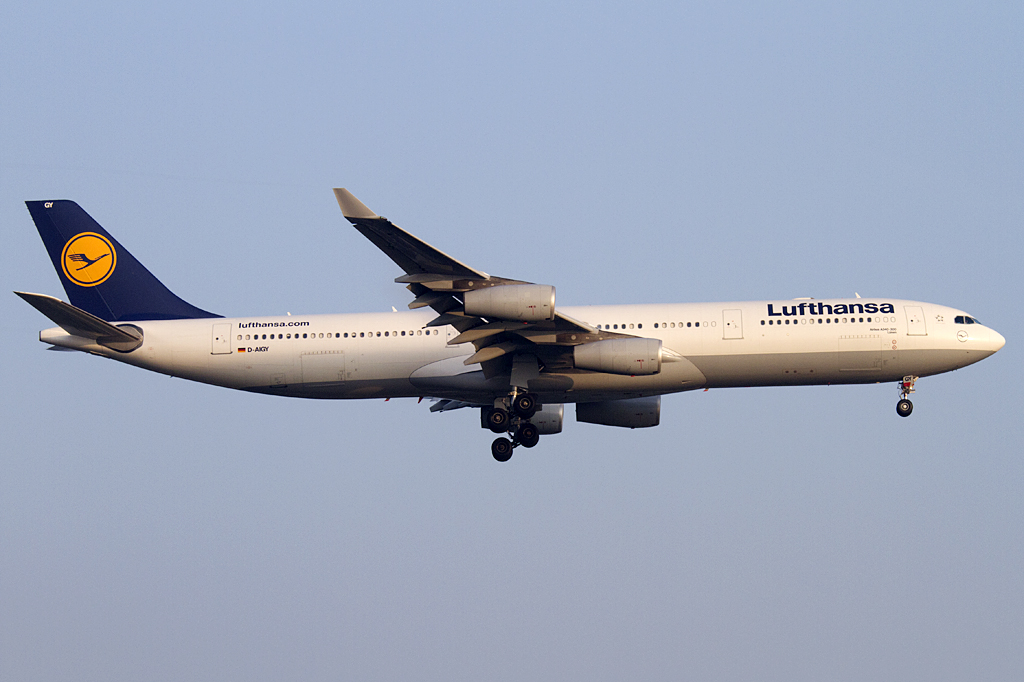 Lufthansa, D-AIGY, Airbus, A340-313, 14.10.2010, FRA, Frankfurt, Germany 





