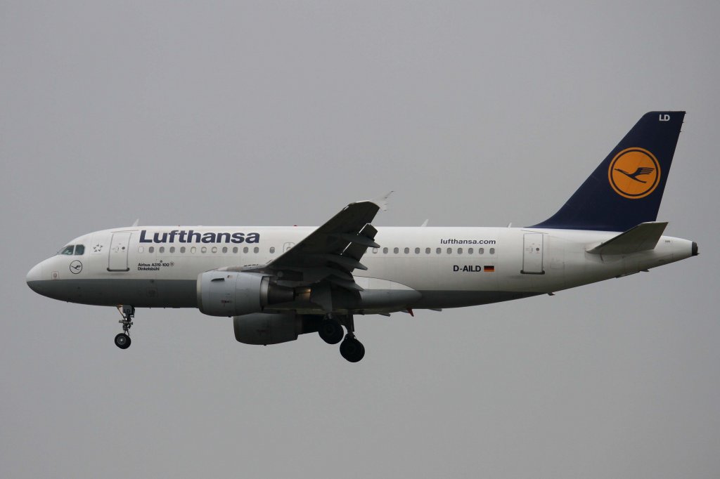 Lufthansa, D-AILD  Dinkelsbhl , Airbus, A 319-100, 24.08.2012, FRA-EDDF, Frankfurt, Germany