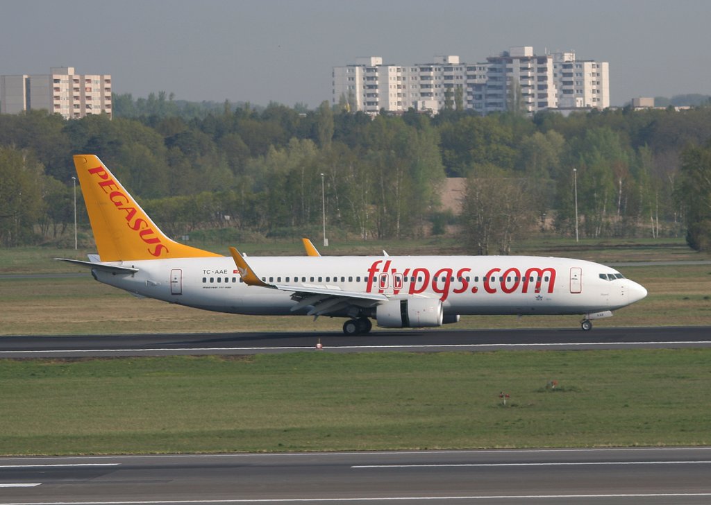 Pegasus Airlines B 737-82R TC-AAE nach der Landung in Berlin-Tegel am 21.04.2011