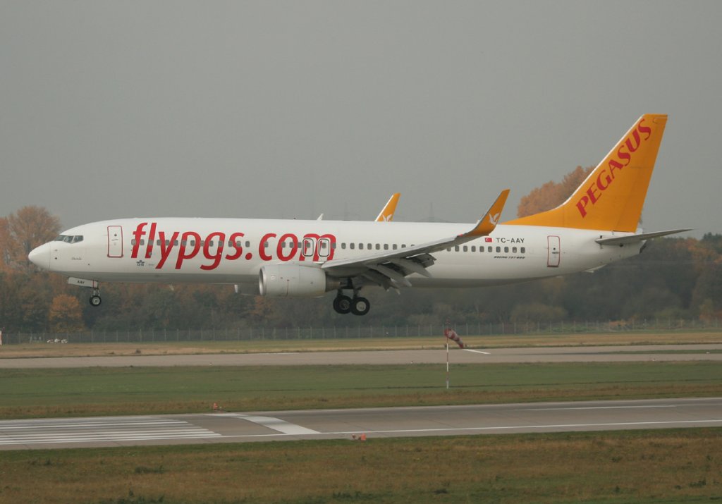 Pegasus Airlines B 737-82R TC-AAY kurz vor der Landung in Dsseldorf am 31.10.2011
