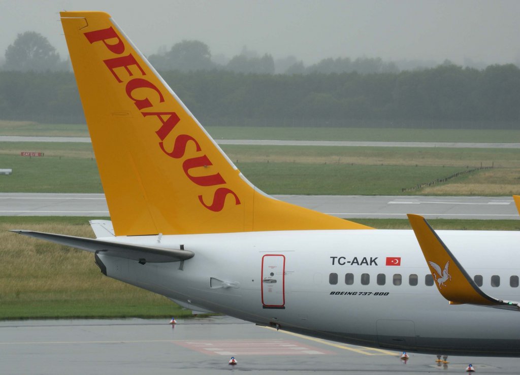 Pegasus Airlines, TC-AAK, Boeing 737-800 WL (Seitenleitwerk/Tail), 20.06.2011, DUS-EDDL, Dsseldorf, Germany 

