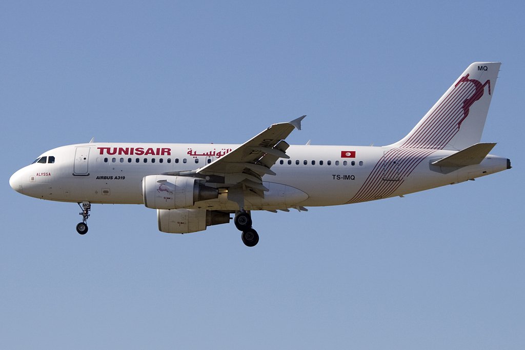 Tunisair, TS-IMQ, Airbus, A319-112, 31.08.2009, FRA, Frankfurt, Germany

