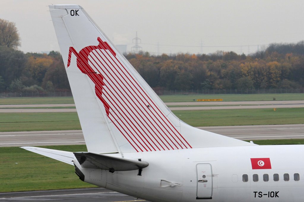 Tunisair, TS-IOK  Kairouan , Boeing, 737-600 (Seitenleitwerk/Tail), 10.11.2012, DUS-EDDL, Dsseldorf, Germany 