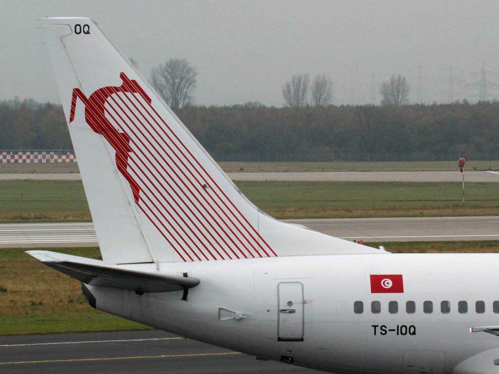 Tunisair, TS-IOQ  Bizerte , Boeing, 737-600 (Seitenleitwerk/Tail), 13.11.2011, DUS-EDDL, Dsseldorf, Germany