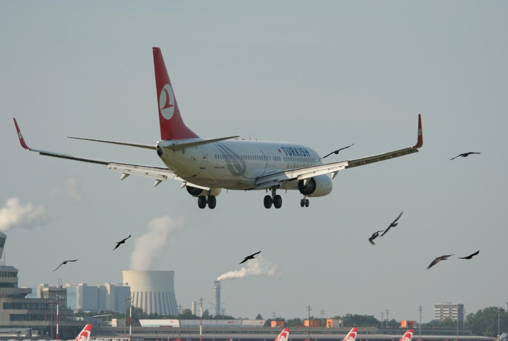 Turkish Airlines B 737-8F2 TC-JFF mit zustzlichem Flugverkehr kurz vor der Landung in Berlin-Tegel am 17.09.2011 