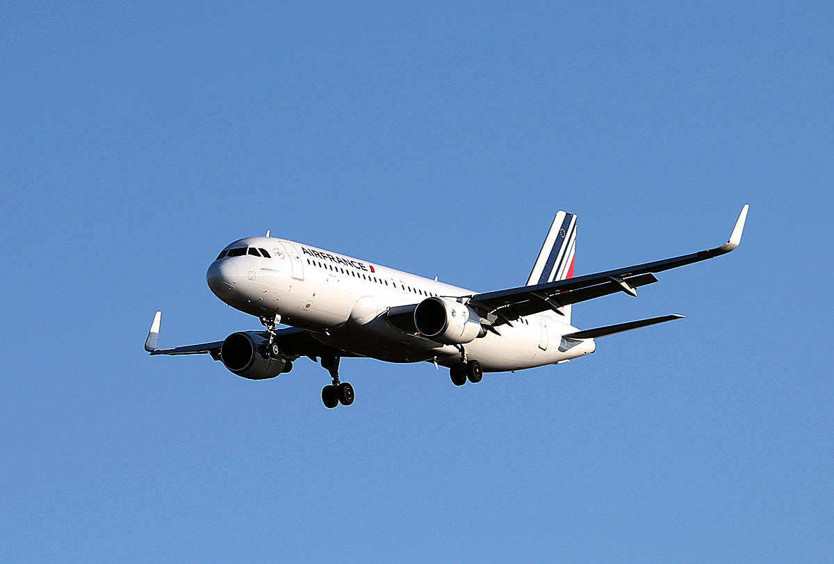 Air France A 320-214 F-HEPH bei der Landung in Berlin-Tegel am 22.02.2014