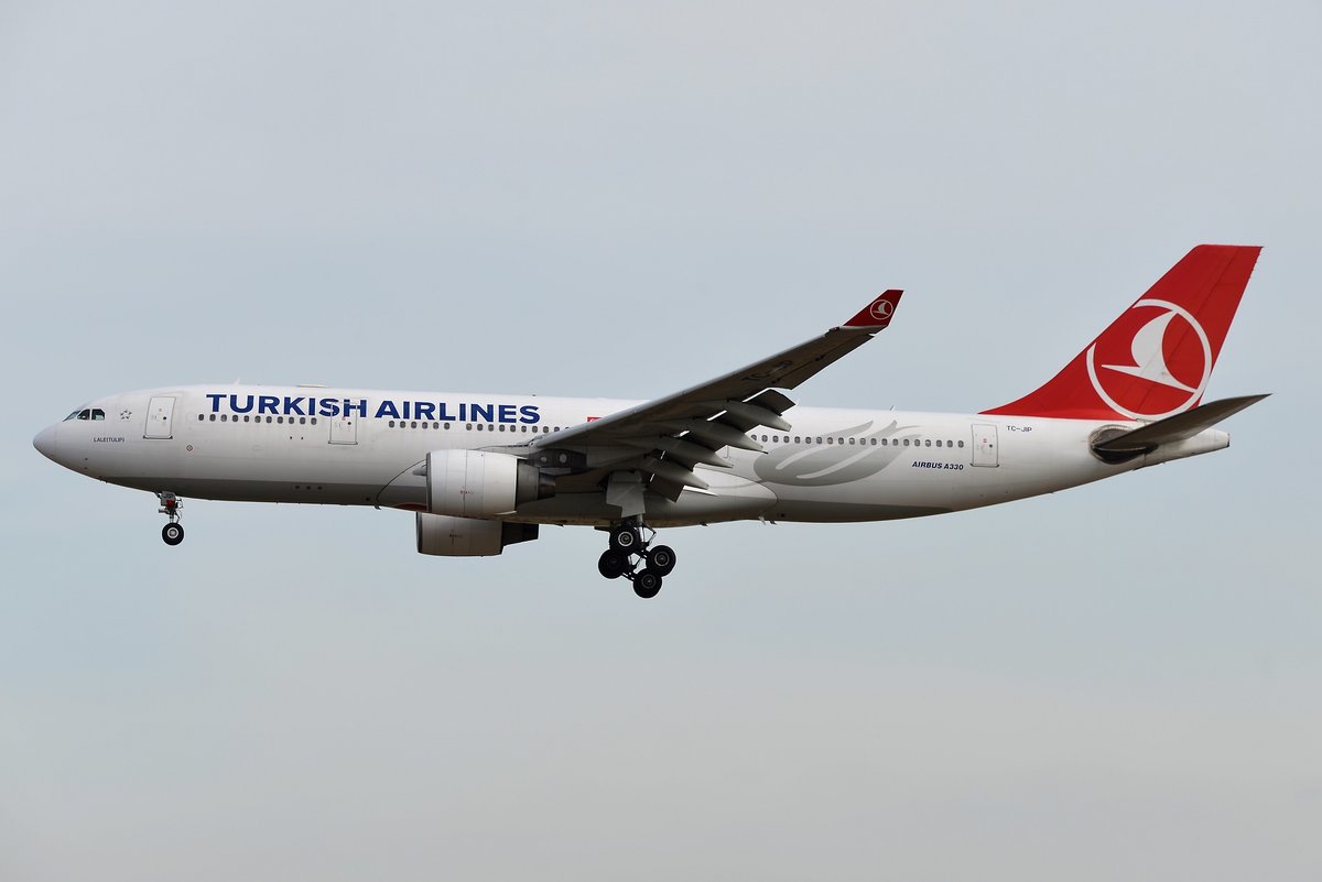 Airbus A330-223 - TK THY Turkish Airlines 'Lale Tulip' - 876 - TC-JIP - 22.07.2019 - FRA
