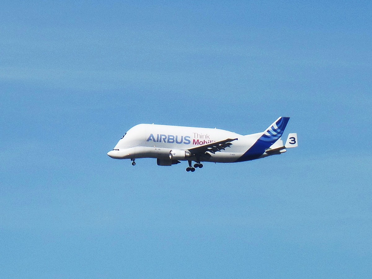 Airbus Transport International, Airbus A 300B4-608ST Beluga, F-GSTC, am 21.4.2015, beim Landeanflug zum Airbus-Werk Hamburg-Finkenwerder /