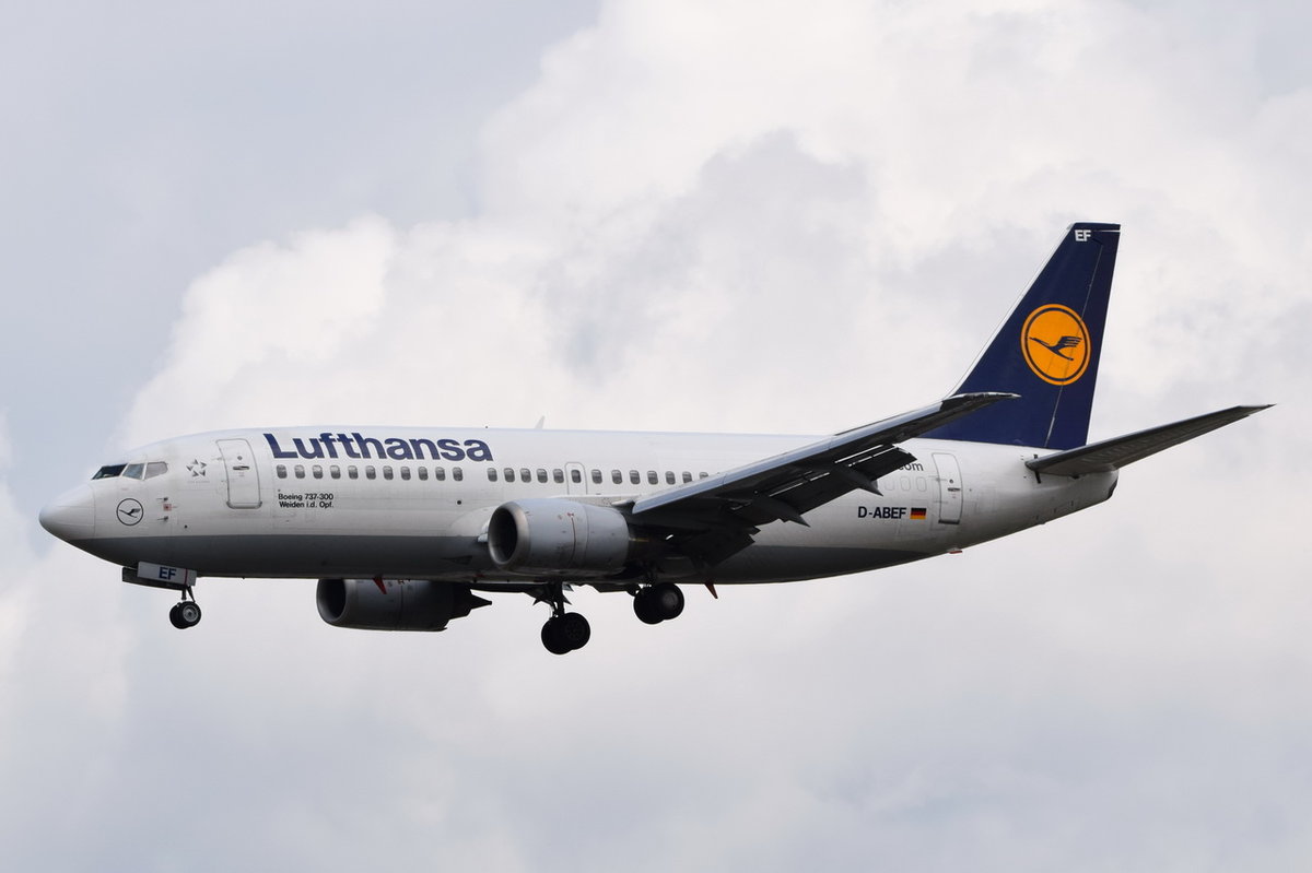 D-ABEF Lufthansa Boeing 737-330  Weiden i.d. Oberpfalz  in Frankfurt am 06.08.2016 beim Anflug