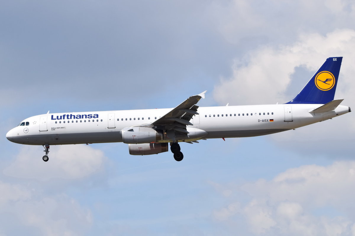 D-AISX Lufthansa Airbus A321-231  Celle   in Frankfurt am 06.08.2016 beim Landeanflug