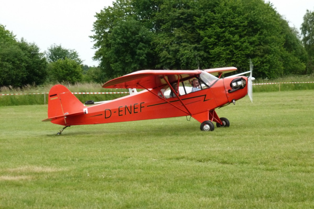 D-ENEF Piper J-3C Cub in Ailertchen (EDGA). Aufnahmedatum: 07.06.2014