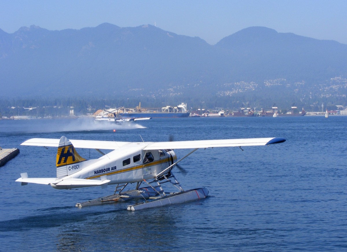 DHC-2 Beaver C-FOCY auf dem Weg zum Start,whrend hinten links eine Otter davon zieht und eine Twin Otter startet.Vancouver Harbour Airport(CXH) am 13.9.2013