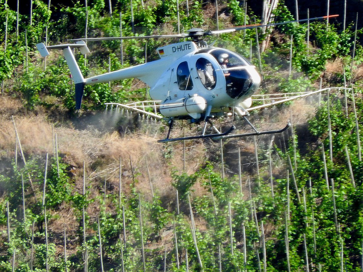 Helikopter Mcdonnell Douglas 369-E (D-HUTE)
bei der Pestizidbekämpfung in den Weinbergen bei Neef/ Mosel; 170612