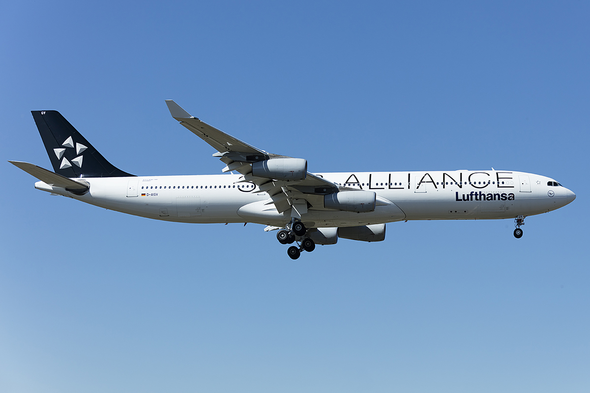Lufthansa, D-AIGV, Airbus, A340-313, 19.04.2019, FRA, Frankfurt, Germany 

