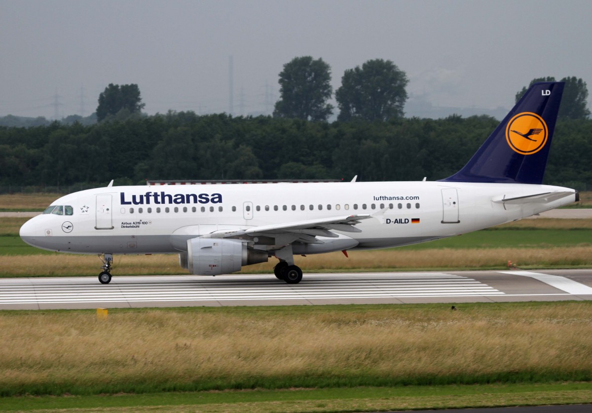 Lufthansa, D-AILD  Dinkelsbhl , Airbus, A 319-100, 01.07.2013, DUS-EDDL, Dsseldorf, Germany 