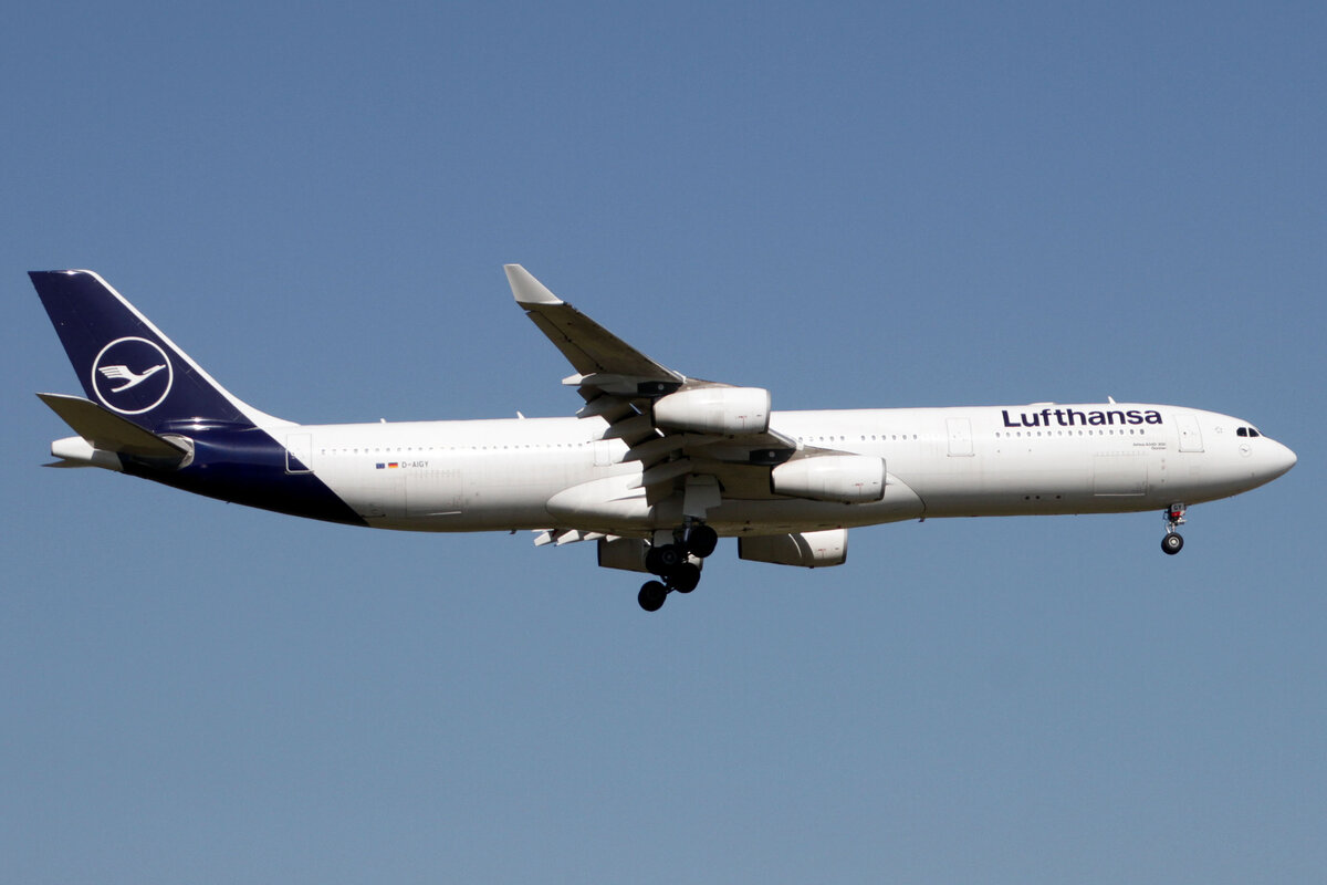 Lufthansa (LH-DLH), D-AIGY  Dorsten , Airbus, A 340-313 ~ neue LH-Lkrg., 15.09.2023, EDDF-FRA, Frankfurt, Germany