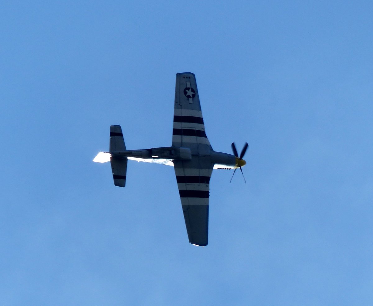 North American P-51D Mustang, N6328T über der Hahnweide (EDST) am 10.9.2016