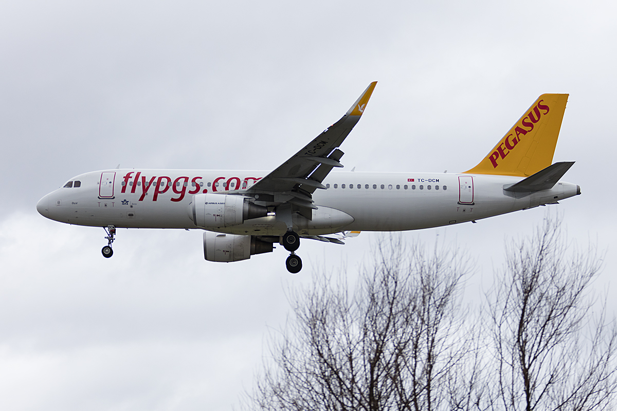 Pegasus Airlines, TC-DCM, Airbus, A320-214, 21.01.2018, ZRH, Zürich, Switzerland 




