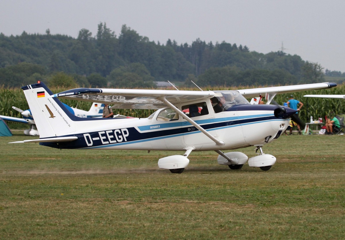 Privat, D-EEGP, Cessna, 172 N Skyhawk, 24.08.2013, EDMT, Tannheim (Tannkosh '13), Germany 