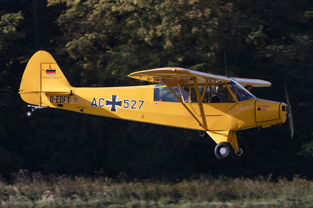 Private, D-EDFT, Piper, PA-18C Super Cub, 09.09.2016, EDST, Hahnweide, Germany 





