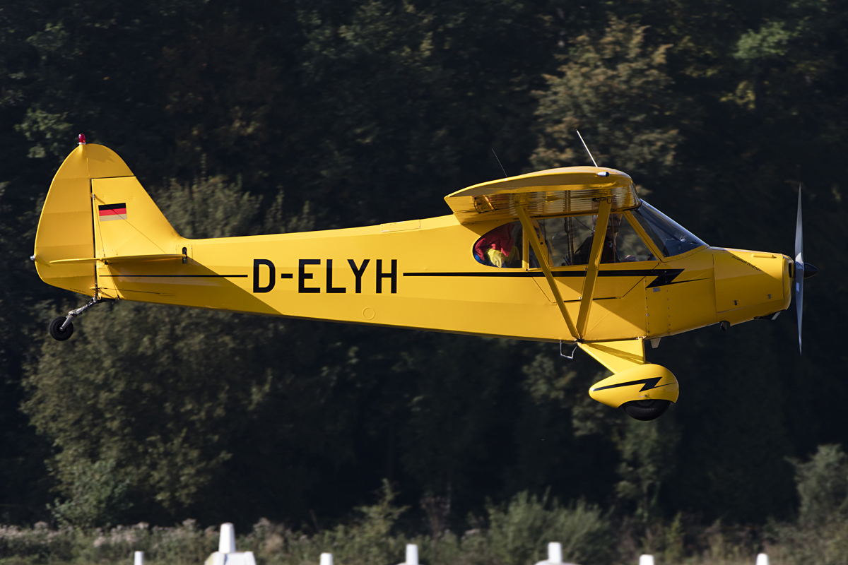 Private, D-ELYH, Piper, PA-18-95 Super Cub, 10.09.2016, EDST, Hahnweide, Germany


