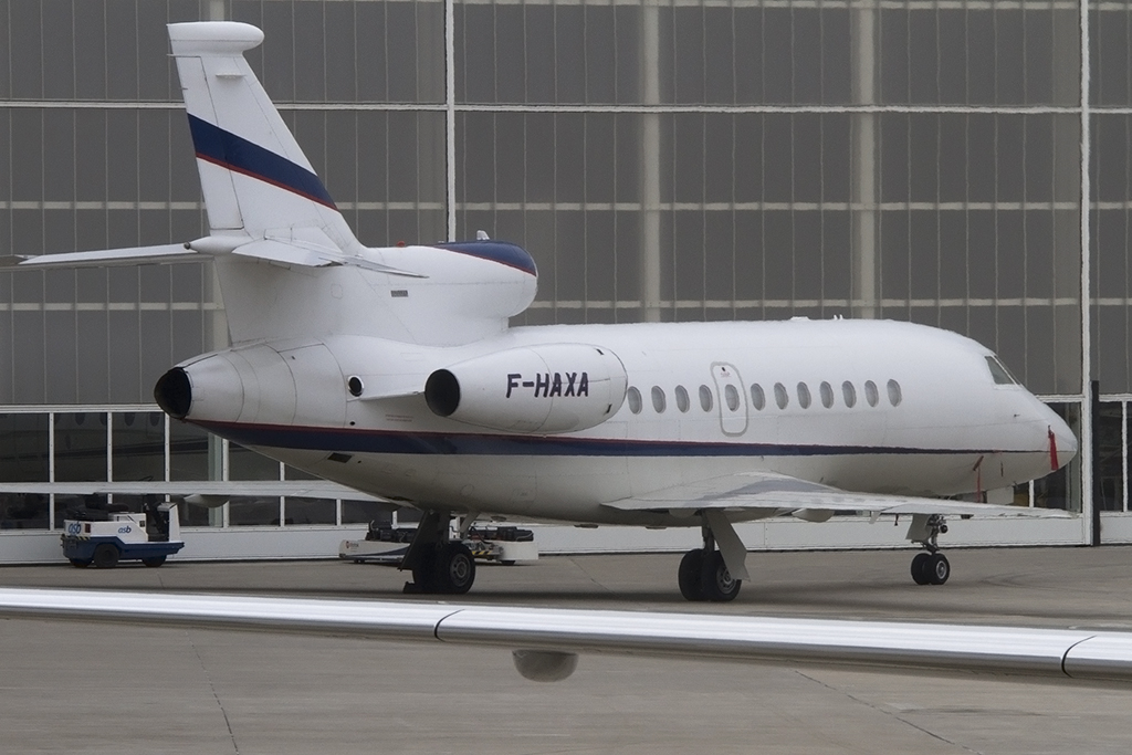 Private, F-HAXA, Dassault, Falcon 900EX, 24.01.2015, BSL, Basel, Switzerland



