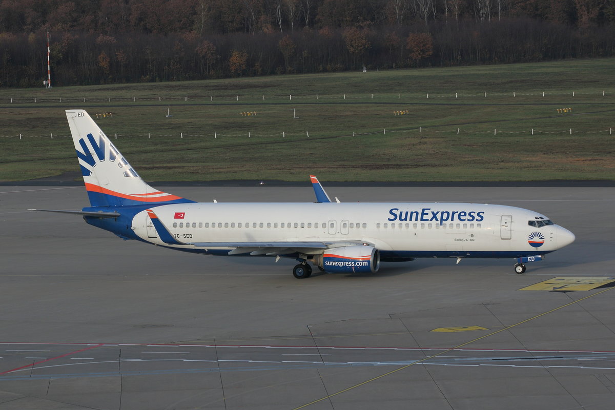 Sun Express, Boeing B737-8CX(WL), TC-SED. Köln-Bonn (EDDK) am 24.11.2019.