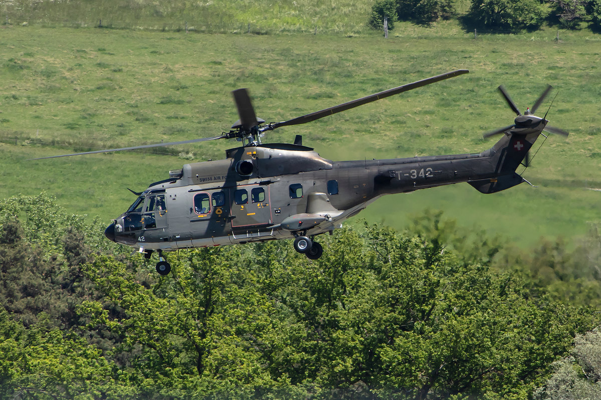 Swiss Air Force, T-342, Eurocopter, TH-98 Cougar, 31.05.2019, BRN, Bern-Bell, Switzerland


