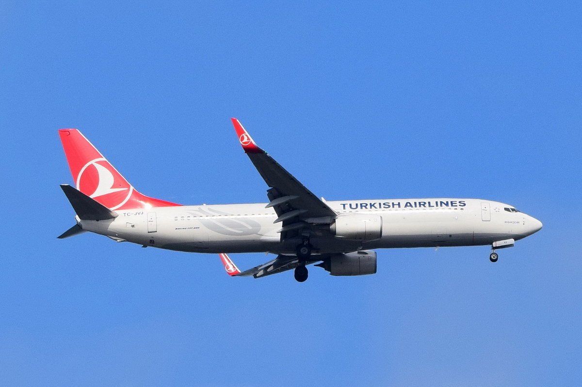 TC-JVJ Turkish Airlines Boeing 737-8F2(WL)  beim Anflug Tegel  21.09.2016