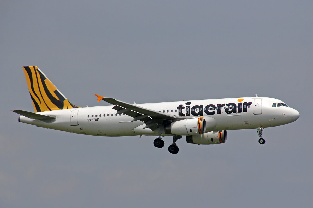 Tigerair, 9V-TAF, Airbus A320-232, 09.August 2016, BKK Bangkok Suvarnabhumi, Thailand.
