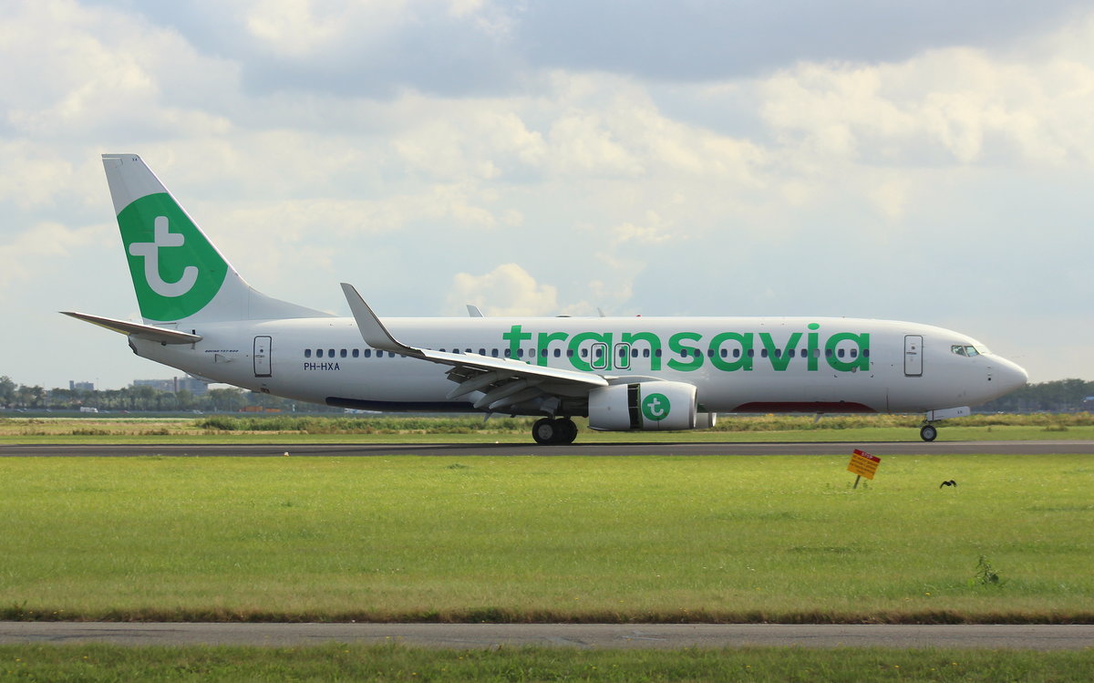 Transavia, PH-HXA, (c/n62149),Boeing 737-8K2(WL), 03.09.2016, AMS-EHAM, Amsterdam-Schiphol, Niederlande 