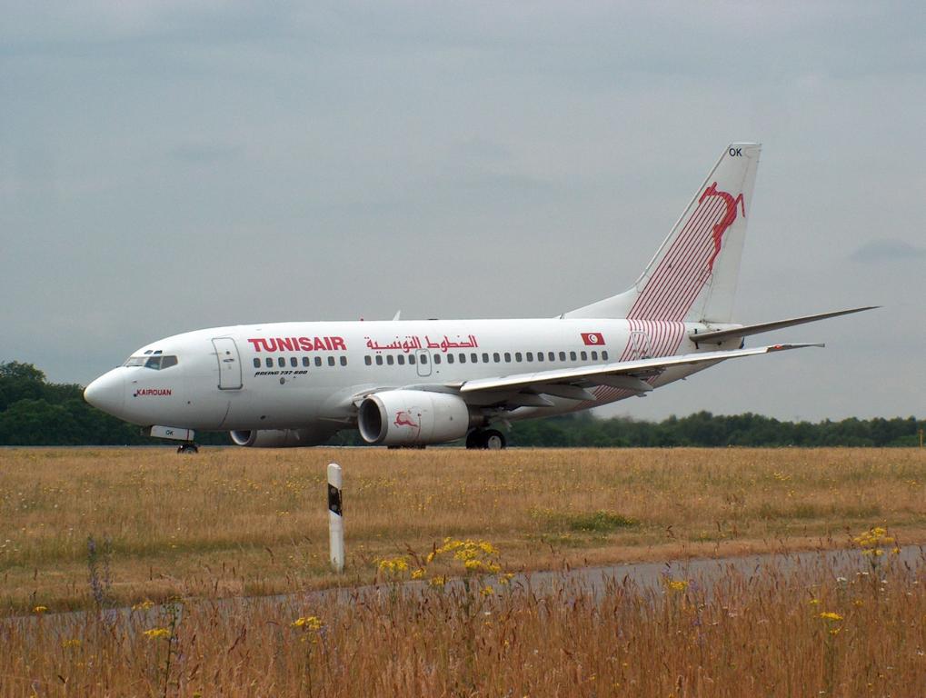 TS-IOK, Boeing 737-600  Kairouan  von TunisAir in Luxembourg