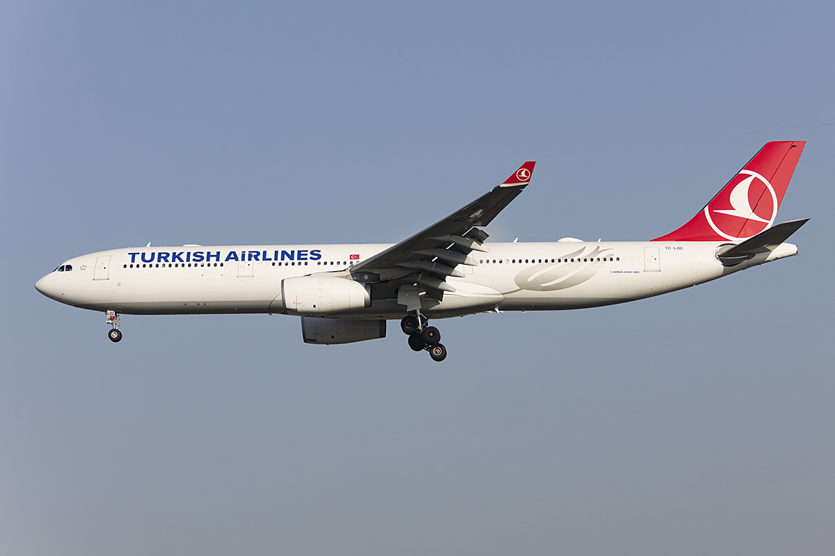 Turkish Airlines, TC-LOC, Airbus, A330-343, 17.10.2017, FRA, Frankfurt, Germany



