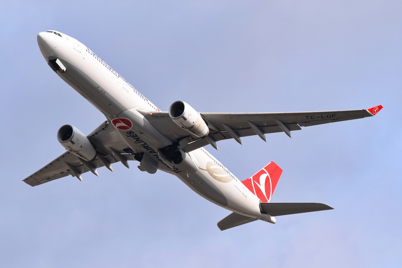 TC-LOF , Turkish Airlines , Airbus A330-343 , Berlin-Brandenburg  Willy Brandt  , BER , 04.10.2023 ,