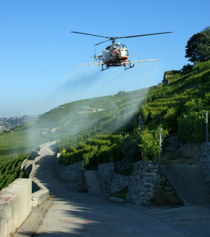 Ein Helikopter versprht flchendeckend Schdlingsbekmpfungs Chemie ber die Rebberge des Lavaux
29. Juli 2009