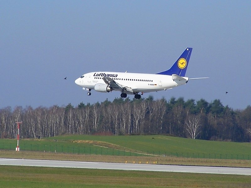 Eine 737-500 der Lufthansa (D-ABIN,  Langenhagen ) gert beim Anflug in einen kleinen Vogelschwarm. Offensichtlich kam dabei aber kein Tier zu Schaden. Gesehen in Dresden-Klotsche am 3.4.2009.
