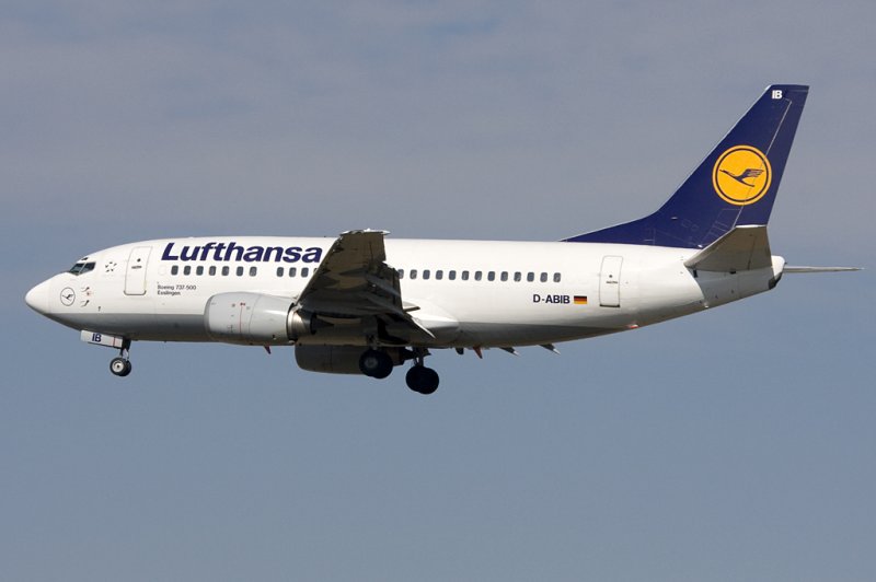 Lufthansa, D-ABIB, Boeing, B737-530, 21.03.2009, FRA, Frankfurt, Germany 

