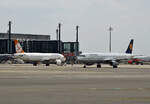 Freebird, Airbus A 320-214,TC-FHC,  Lufthansa, Airbus A 321-231, D-AIDT, BER, Spottertour, 28.04.2022