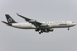 Lufthansa, D-AIGX, Airbus, A340-313, 02.04.2016, FRA, Frankfurt, Germany         