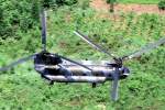 Englischer Chinook-Hubschrauber im Tiefflug ber Nordeutschland.