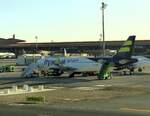 Flyadeal, Airbus A 320-251N, HZ-FBD, Jeddah International Airport (JED/OEJN)