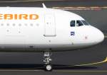 Freebird Airlines, TC-FHE, Airbus, A 320-200 (Bug/Nose), 02.04.2014, DUS-EDDL, Dsseldorf, Germany