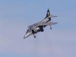 Der Harrier  verbeugt  sich ...  Martin Kramer 25.04.2007