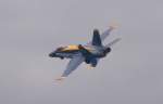 Eine F-18 der Blue ...  Martin Kramer 26.04.2007